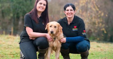 About Rushton Dog Rescue at Freedom Farm in Somerset, UK