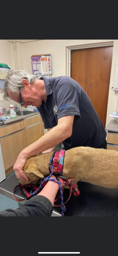 Jon is the charities vet who has been with us for 11 years the work he has done on so many dogs has been incredible and we are extremely lucky to have such a passionate vet who we absolutely adore