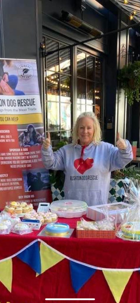 Paula is a Trustee of Rushton Dog Rescue and is always out at local shows helping fundraise for the Charity!