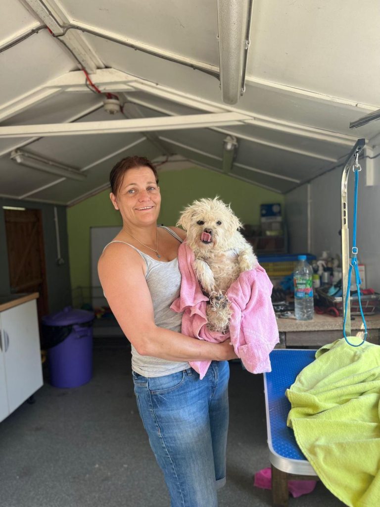 Penny is our volunteer dog groomer and general handy lady around the farm , Penny gives hours and hours to Freedom Farm and is much loved by all of us especially the dogs