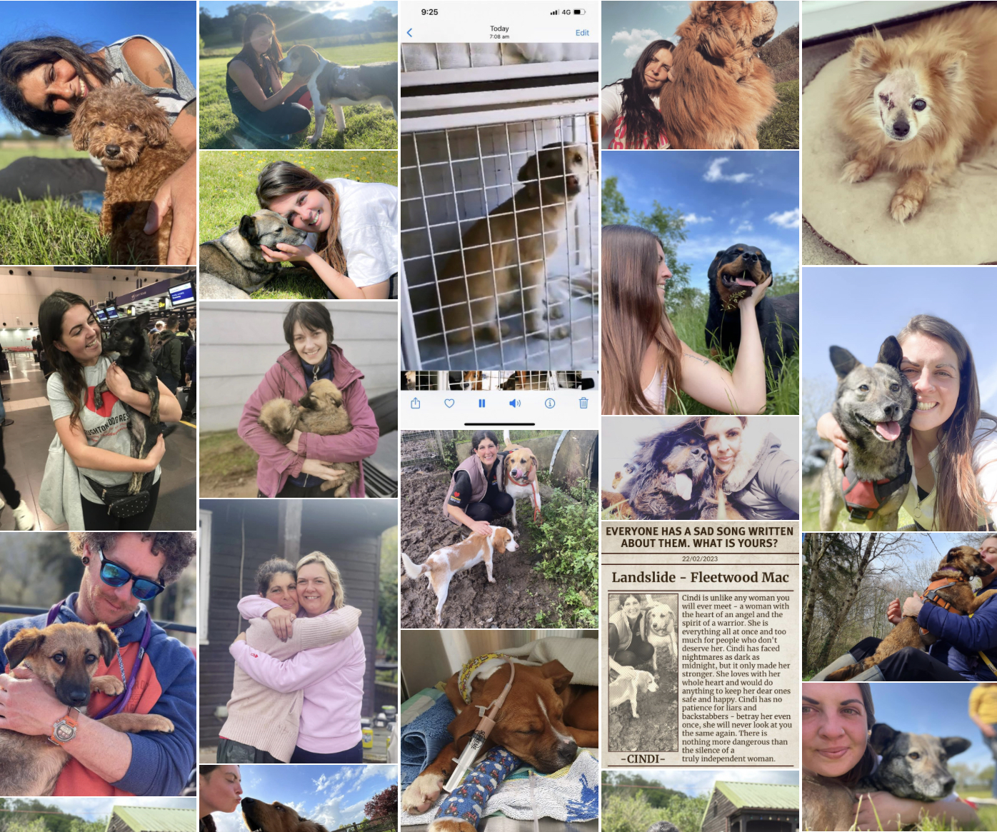 Rushton Dog Rescue in Pictures